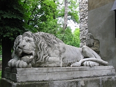 Lviv beasts. Lions