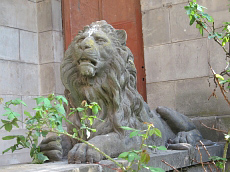 Lviv beasts. Lions