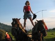 In the village of Kobyletska Polyana near Rakhiv (Transcarpathia)